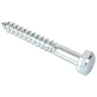 Coach Screw.jpg