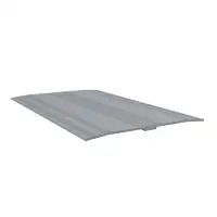 Extra Wide Silver.jpg